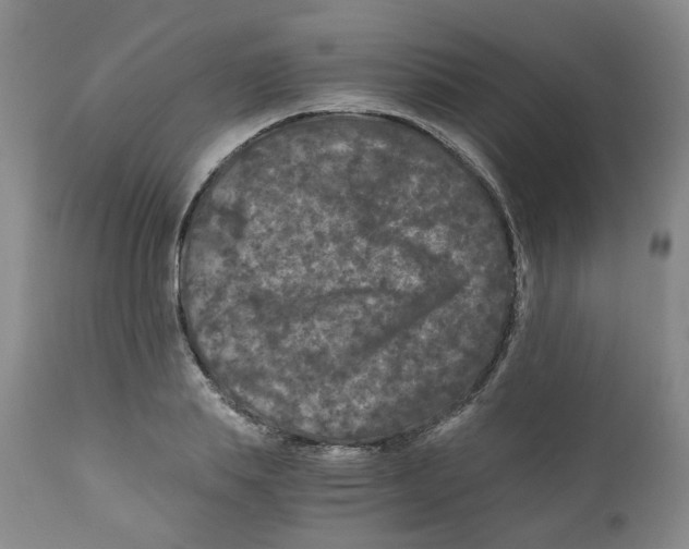 X0000110870839200907161437