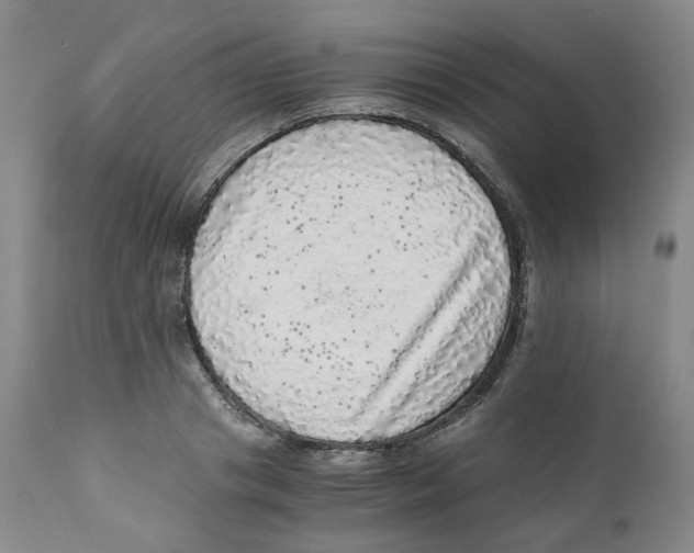 X0000110870841200907161437