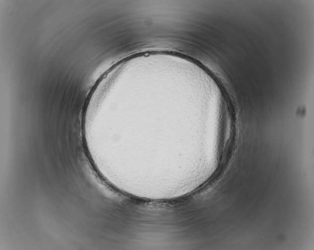 X0000110870842200907161437