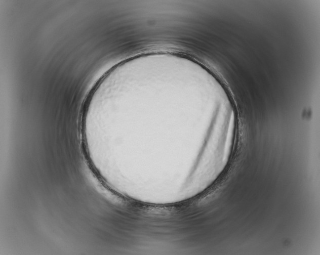 X0000110870843200907161437