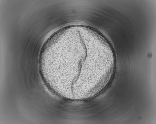 X0000110870845200907161437