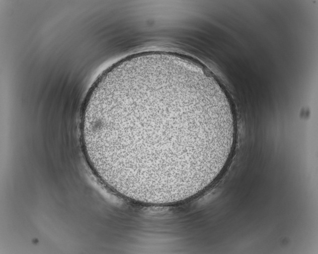 X0000110870846200907161437