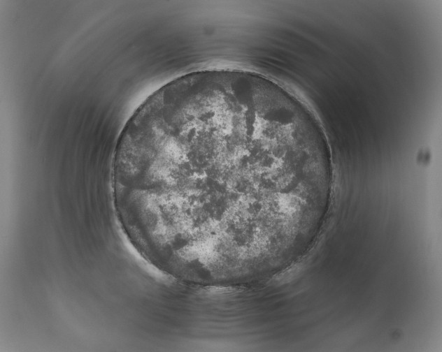 X0000110870847200907161437