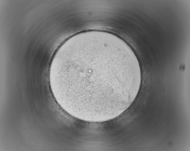 X0000110870848200907161437