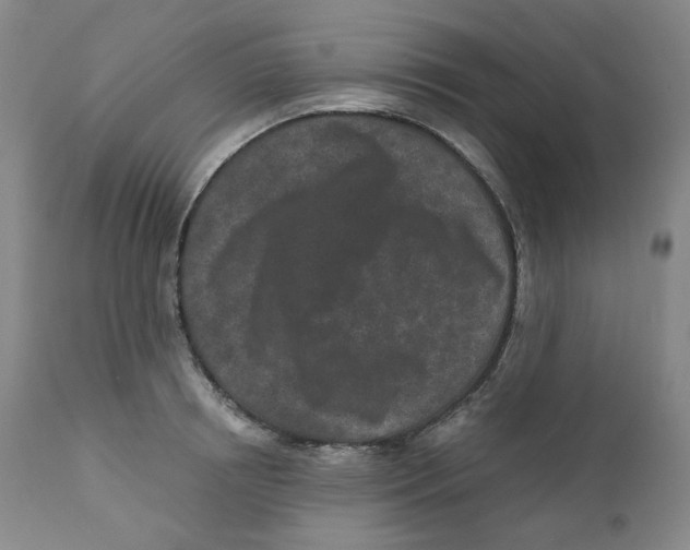 X0000110870850200907161437