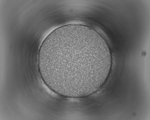 X0000110870852200907161437