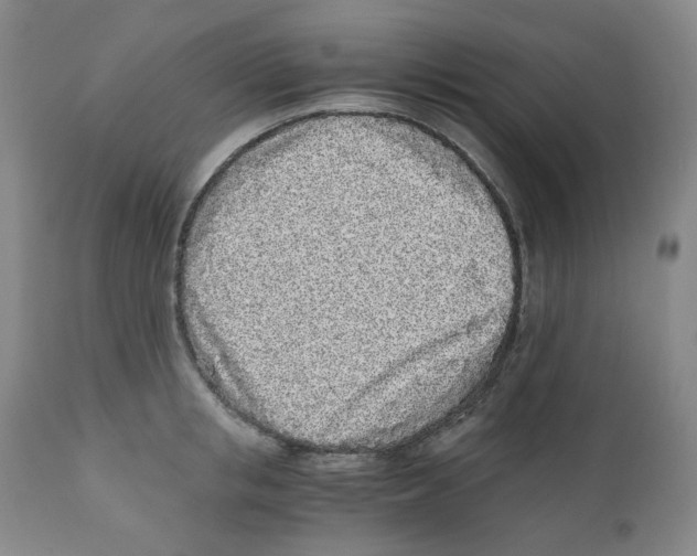 X0000110870853200907161437