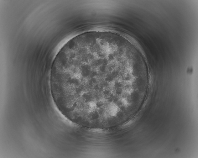 X0000110870855200907161437