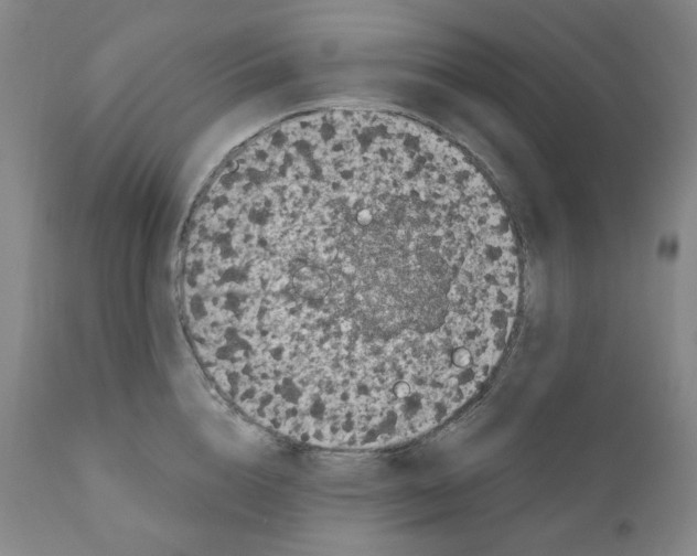 X0000110870856200907161437