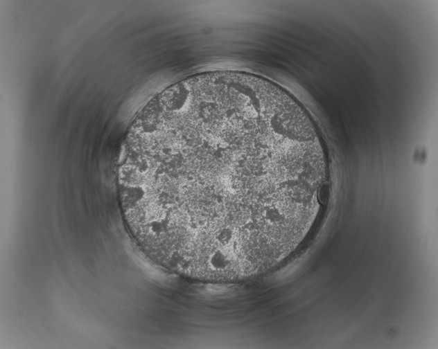 X0000110870857200907161437