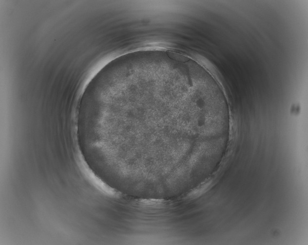 X0000110870859200907161437