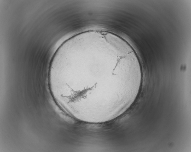 X0000110870861200907161437