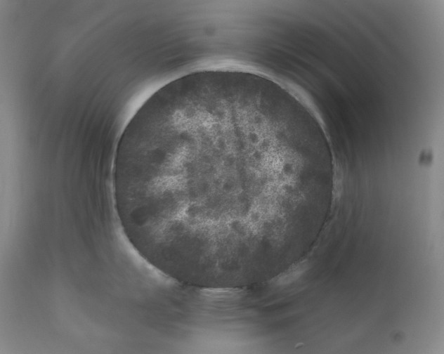 X0000110870863200907161437