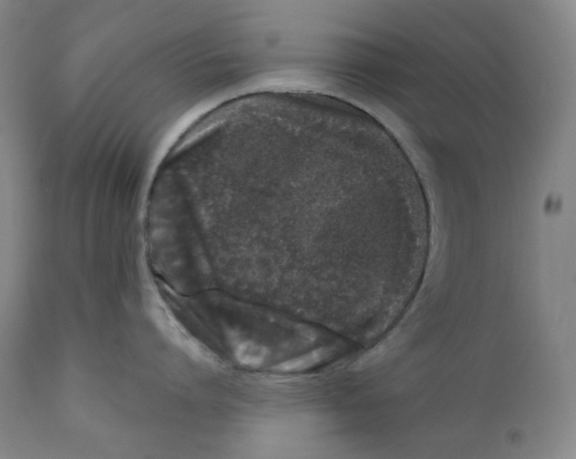 X0000110870864200907161437