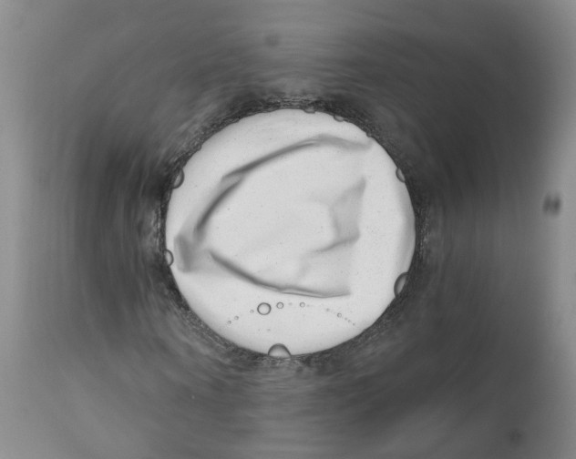 X0000110870866200907161436