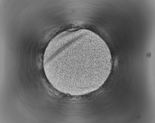 X0000110870868200907161436