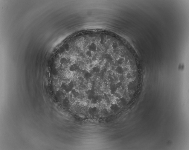 X0000110870871200907161436