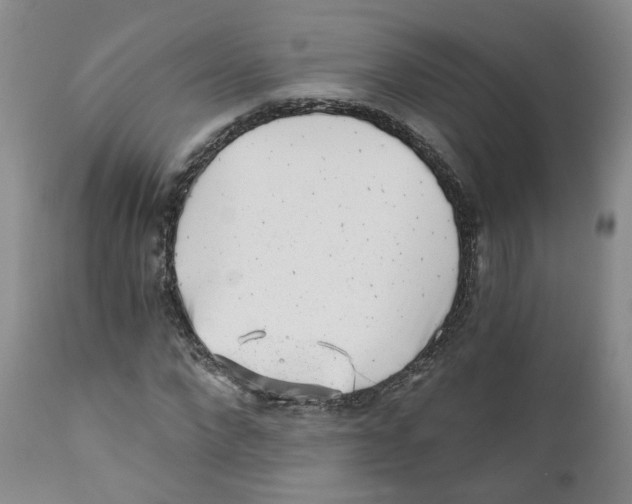 X0000110870872200907161436