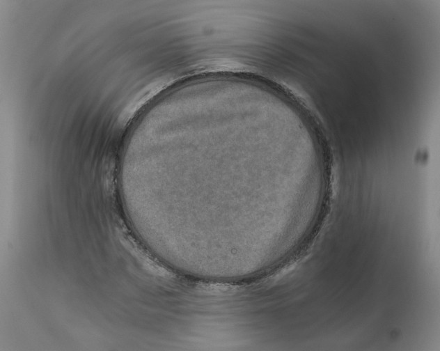 X0000110870873200907161436