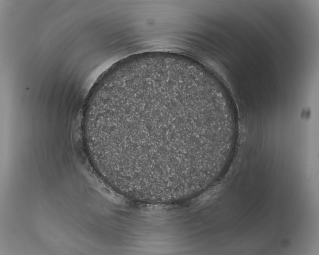 X0000110870875200907161436