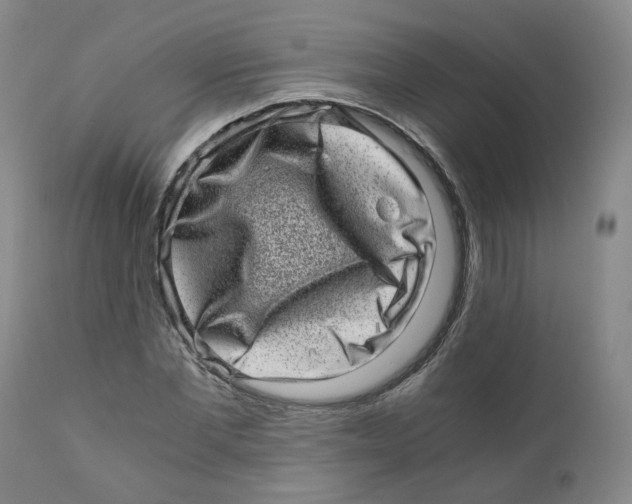 X0000110870877200907161436