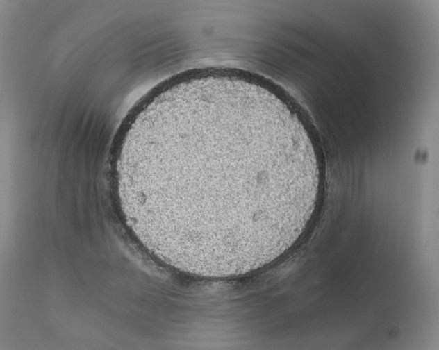 X0000110870879200907161436