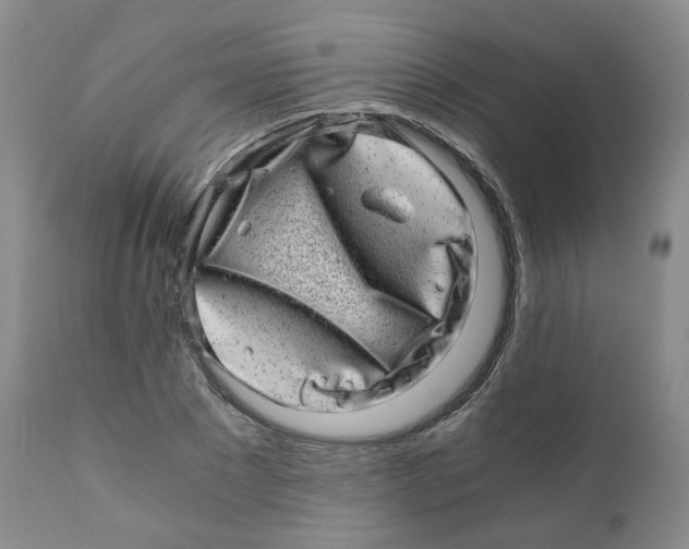 X0000110870881200907161436