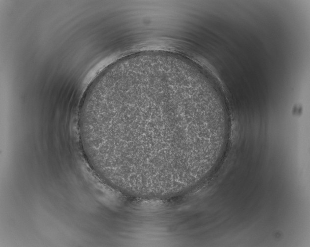 X0000110870882200907161436