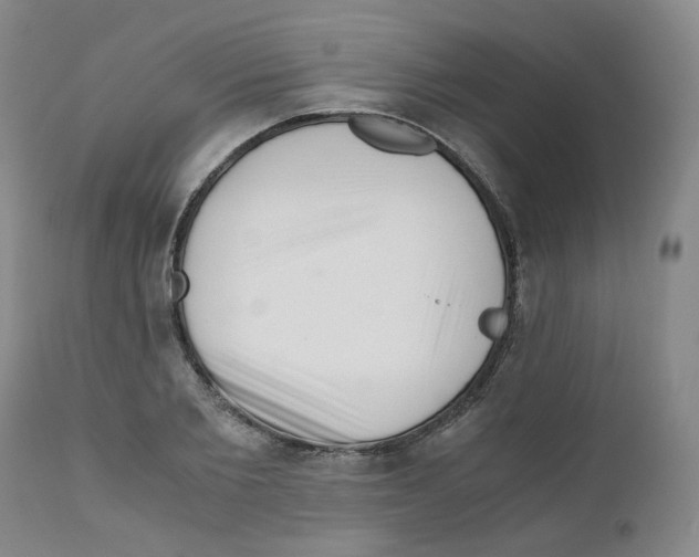 X0000110870885200907161436