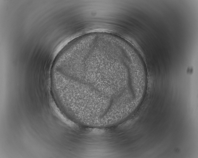 X0000110870890200907161436