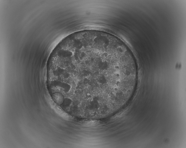 X0000110870891200907161436