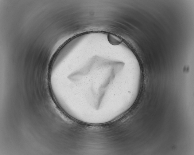 X0000110870894200907161436