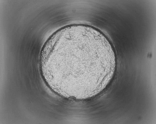 X0000110870895200907161436