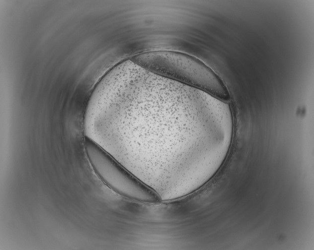 X0000110870897200907161436