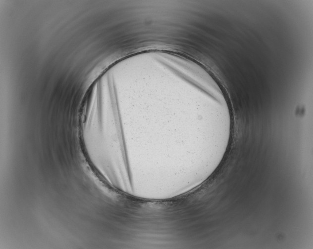 X0000110870898200907161436