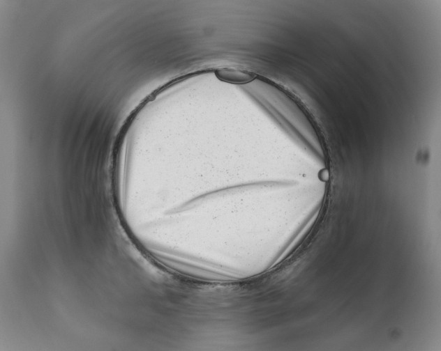 X0000110870902200907161435