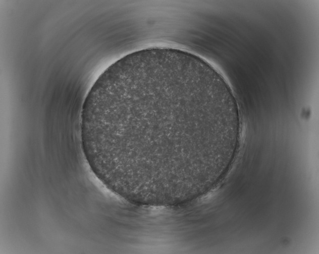 X0000110870903200907161435