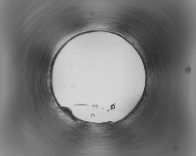 X0000110870904200907161435