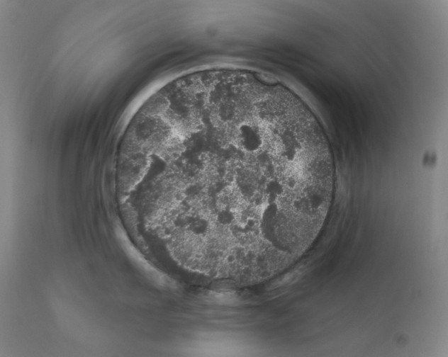 X0000110870911200907161435