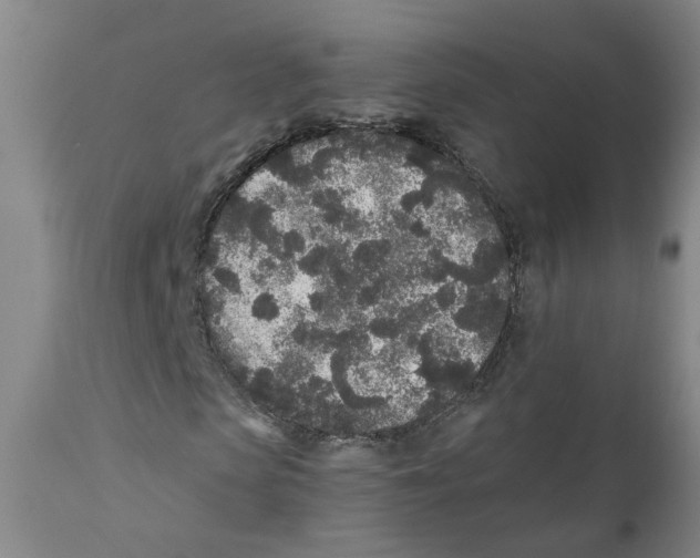 X0000110870913200907161434