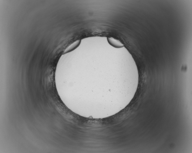 X0000110870914200907161434