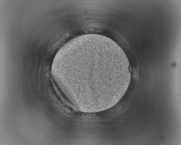 X0000110870915200907161434