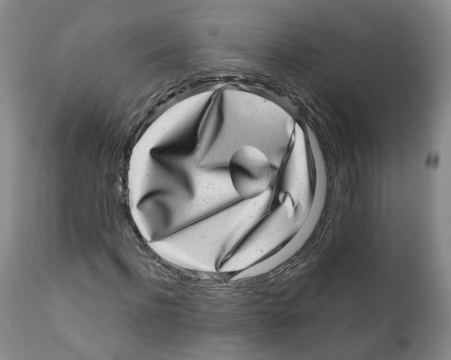 X0000110870916200907161434