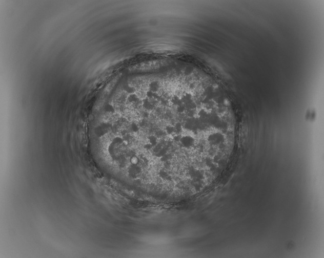 X0000110870917200907161434