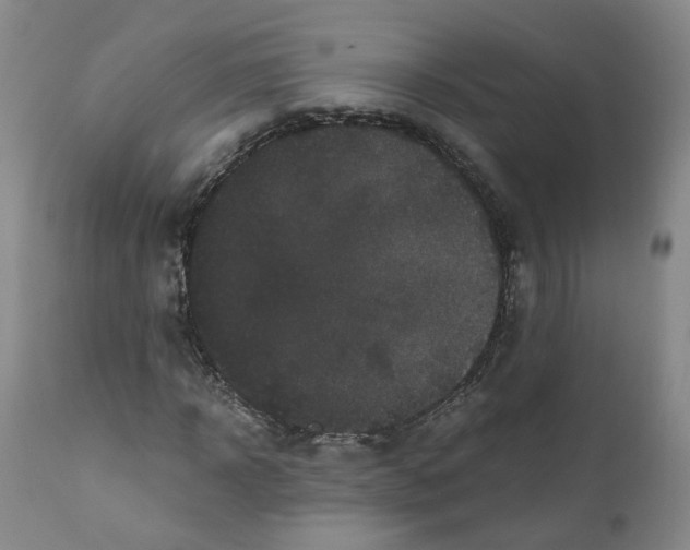 X0000110870918200907161434