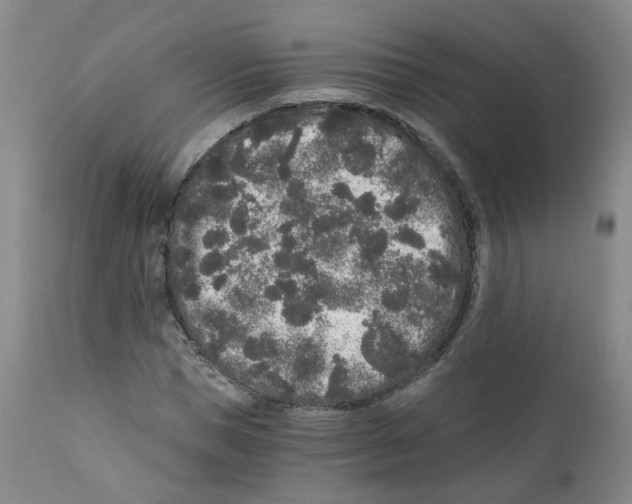 X0000110870921200907161434