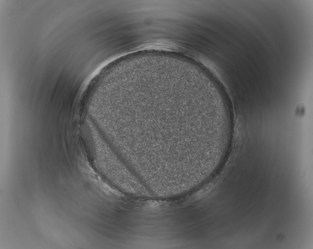 X0000110870923200907161434