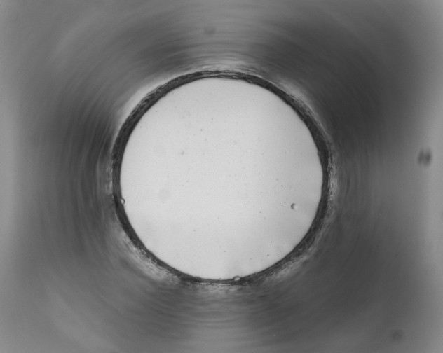 X0000110870924200907161434