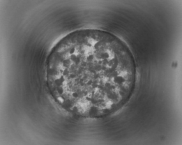 X0000110870925200907161434