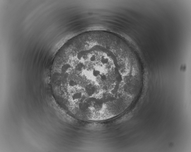 X0000110870929200907161435